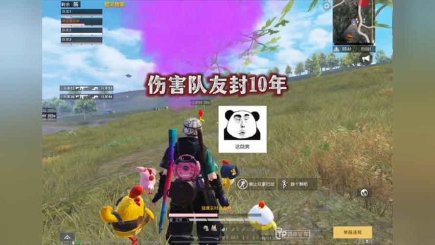 开和平精英辅助如何不封号？