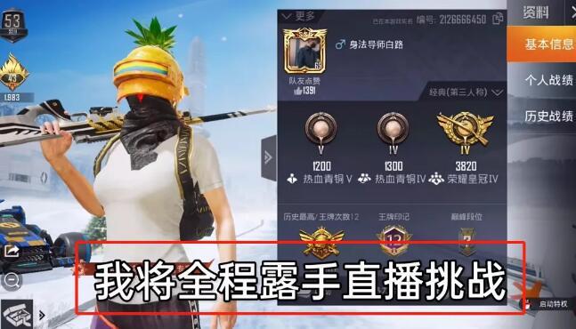 和平精英辅助【兵王】